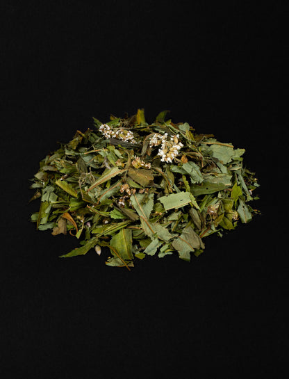 Handpicked Herbal Ceremonial Forest Infusion